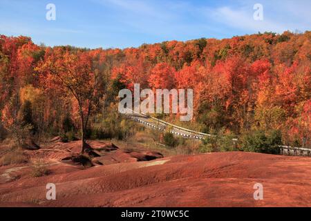 Autum a Cheltenham Badlands a Caledon, Ontario Canada, autunno canadese, alberi di foglie di acero rosso Foto Stock
