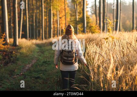 Donna con zaino che fa trekking nella foresta autunnale. Escursionista che cammina su un sentiero nel bosco. Alba dorata al mattino nella stagione autunnale Foto Stock