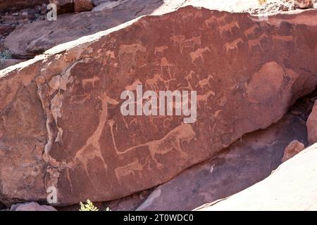 NAMIBIA, AFRICA MERIDIONALE Foto Stock