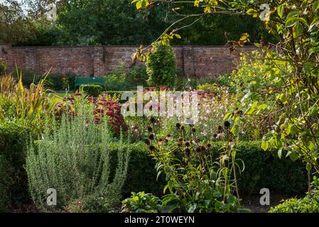 Varietà di arbusti e fiori che riflettono il sole del tardo pomeriggio in autunno, presso l'Eastcote House, storico giardino murato nel Borough di Hillingdon, Regno Unito Foto Stock