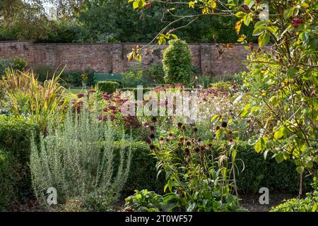 Varietà di arbusti e fiori che riflettono il sole del tardo pomeriggio in autunno, presso l'Eastcote House, storico giardino murato nel Borough di Hillingdon, Regno Unito Foto Stock