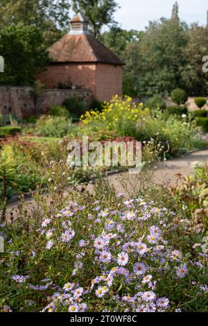 Varietà di arbusti e fiori che riflettono il sole del tardo pomeriggio in autunno, presso l'Eastcote House, storico giardino murato nel Borough di Hillingdon, Regno Unito Foto Stock