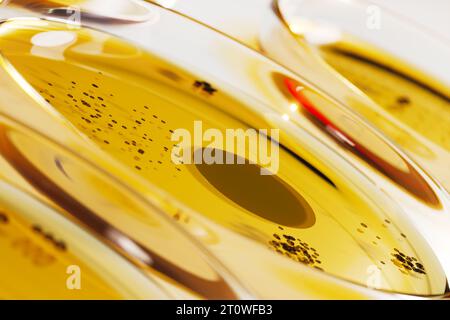 Capsule di Petri con agar giallo contenenti colonie circolari di funghi o batteri Foto Stock