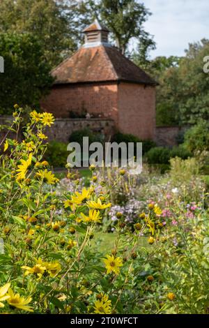 Varietà di arbusti e fiori che riflettono il sole del tardo pomeriggio in autunno, presso l'Eastcote House, storico giardino murato nel Borough di Hillingdon, Regno Unito Foto Stock