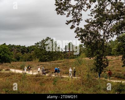 Overasselt, Paesi Bassi. 8 ottobre 2023. Le persone si godono la natura. Questo fine settimana, il tempo era perfetto per una passeggiata. L'autunno è sempre un bel periodo dell'anno per esplorare la campagna olandese e fare il pieno di sangue partecipando a un'escursione piacevole o vivace. (Foto di Ana Fernandez/SOPA Images/Sipa USA) credito: SIPA USA/Alamy Live News Foto Stock