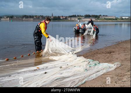 Berwick-upon-Tweed, Regno Unito. 9 ottobre 2023. Il personale dell’Agenzia per l’ambiente effettua un’indagine sulla popolazione ittica sull’estuario del fiume Tweed. Utilizzando una barca e reti da circuizione, ricordano i tradizionali metodi di pesca del salmone che catturano, contano, misurano e rilasciano il pesce per aiutare a comprendere gli stock ittici locali. Crediti: Julian Eales/Alamy Live News Foto Stock