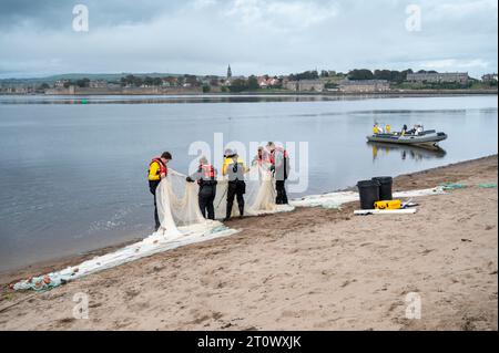 Berwick-upon-Tweed, Regno Unito. 9 ottobre 2023. Il personale dell’Agenzia per l’ambiente effettua un’indagine sulla popolazione ittica sull’estuario del fiume Tweed. Utilizzando una barca e reti da circuizione, ricordano i tradizionali metodi di pesca del salmone che catturano, contano, misurano e rilasciano il pesce per aiutare a comprendere gli stock ittici locali. Crediti: Julian Eales/Alamy Live News Foto Stock