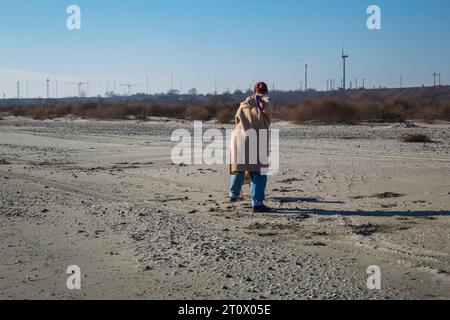 baffi, grigi, a strisce, occhi, pelosi, viso, bella, pelliccia, adorabile, ritratto, giovane, mammifero, gattino, gattino, domestico, carino, gatto, animale, amicizia, Foto Stock