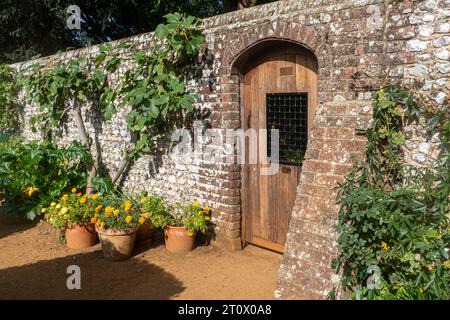 Petersfield Physic Garden, Hampshire, Inghilterra, Regno Unito, durante ottobre o autunno Foto Stock