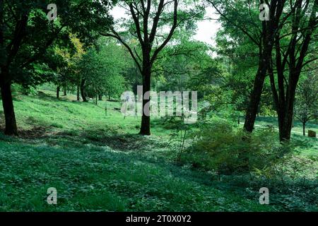 L'ex sito di Fleury-devant-Douaumont che fu abbandonato e distrutto durante la battaglia di Verdun (Verdun/Francia) Foto Stock