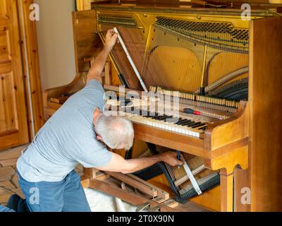 Costruttore di pianoforte che ripara pianoforte, sintonizzatore per pianoforte che lavora su un vecchio pianoforte aperto, Germania Foto Stock