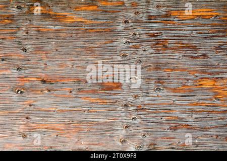 Venatura del legno Foto Stock