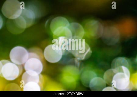 Sfondo bokeh astratto con riflessi di luce Foto Stock