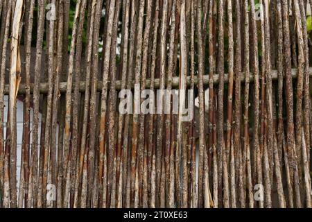 Struttura marrone di una recinzione fatta di sottili rami di salice. Primo piano. Foto Stock