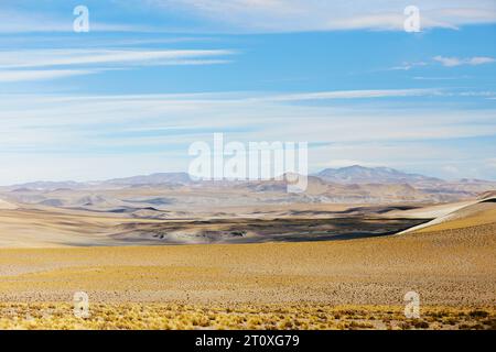 Paisaje de Antofagasta de la Sierra, provincia di Catamarca Foto Stock