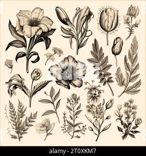 Disegni in bianco e nero di fiori e piante, disegni a mano - immagine Foto Stock