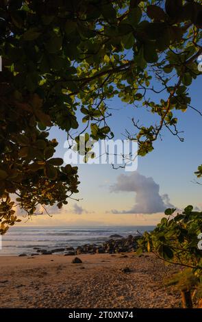 La gioia mattutina sulla spiaggia in Brasile, foto scattata a Geriba Beach, Buzios, Brasile. Foto Stock