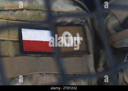 Patch militare con bandiera bianca e rossa polacca. Colpo di primo piano di uno zaino dei soldati con il loro gruppo sanguigno e la bandiera della Polonia. Foto di alta qualità Foto Stock