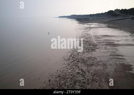 Bassa marea con nuotatore e vista su Lavernock Point Penarth, Galles del Sud, Regno Unito Foto Stock