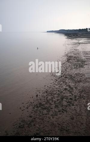 Bassa marea con nuotatore e vista su Lavernock Point Penarth, Galles del Sud, Regno Unito Foto Stock