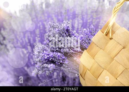 Borsa in vimini con splendidi fiori di lavanda in campo, primo piano. Effetto bokeh Foto Stock