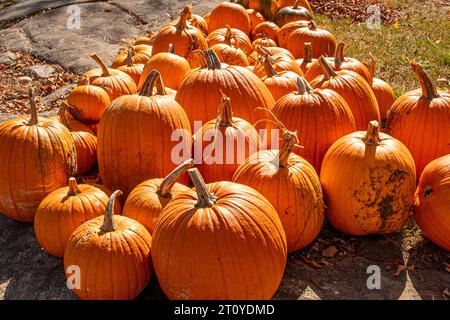 Chiosco stradale che vende verdure in Massachusetts Foto Stock