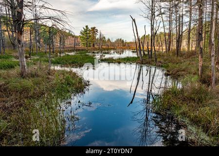 Area della diga di Birch Hill a Royalston, Massachusetts Foto Stock