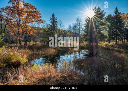 Area della diga di Birch Hill a Royalston, Massachusetts Foto Stock