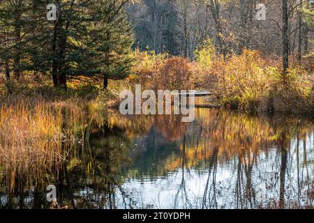 Area della diga di Birch Hill a Royalston, Massachusetts Foto Stock