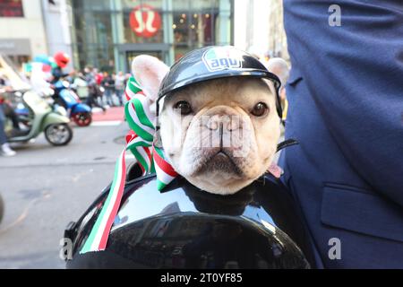 Un bulldog si siede sul retro di una vespa mentre percorre la 5th Avenue durante la 79th Columbus Day Parade a New York, New York, il 9 ottobre 2023. (Foto: Gordon Donovan) Foto Stock