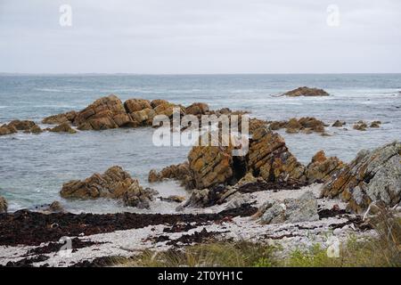 Spettacolari rocce rosse sulla costa frastagliata e frastagliata lungo Tarkine Drive, West Coast, Tasmania, Australia Foto Stock