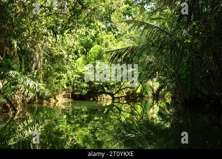 Una veduta del fiume Cigenter nell'isola Handeuleum, una parte del Parco Nazionale di Ujung Kulon, l'unica e l'unica casa per il rinoceronte di Giava (Rhinoceros sondaicus), che si trova a Pandeglang, Banten, Indonesia. In Indonesia, "la gestione dei parchi nazionali era ancora inefficace. Queste cose sono dovute al dilagante disboscamento illegale, all'invasione delle foreste, al bracconaggio, al pascolo illegale del bestiame e ad altri cambiamenti nell'uso del suolo, che possono portare al degrado dell'ecosistema forestale", hanno scritto Renny Indira Anggraini e Budhi Gunawan nel loro articolo del 2020. Foto Stock