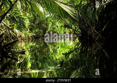 Una veduta del fiume Cigenter nell'isola Handeuleum, una parte del Parco Nazionale di Ujung Kulon, l'unica e l'unica casa per il rinoceronte di Giava (Rhinoceros sondaicus), che si trova a Pandeglang, Banten, Indonesia. In Indonesia, "la gestione dei parchi nazionali era ancora inefficace. Queste cose sono dovute al dilagante disboscamento illegale, all'invasione delle foreste, al bracconaggio, al pascolo illegale del bestiame e ad altri cambiamenti nell'uso del suolo, che possono portare al degrado dell'ecosistema forestale", hanno scritto Renny Indira Anggraini e Budhi Gunawan nel loro articolo del 2020. Foto Stock