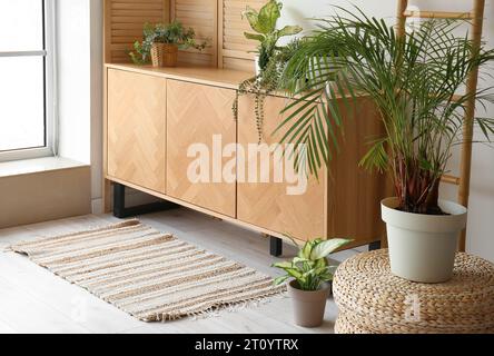 Elegante armadio in legno con piante da casa all'interno della camera Foto Stock