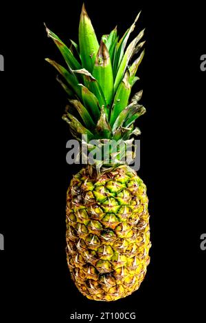 Ananas intero isolato su sfondo nero. Shot verticale. Stile di vita sano Foto Stock