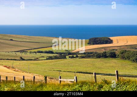 Vista sull'oceano e sulle colline, Port Quin, Port Isaac, Cornovaglia, Inghilterra, gran Bretagna, Regno Unito Foto Stock