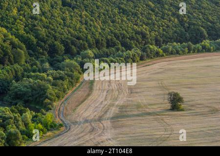 Agricoltura laminazione Primavera Autunno Paesaggio. Paesaggio naturale di colore marrone e giallo. Campo di riga coltivato ondulato e albero. UNR ondulata a strisce Foto Stock