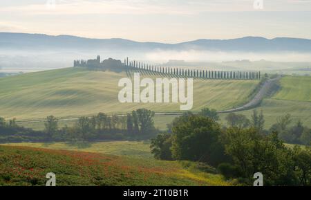 Percorso verso la casa di collina attraverso i cipressi e la vista all'alba sullo splendido paesaggio rurale della Toscana, Italia Foto Stock