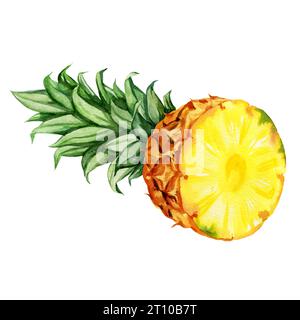 acquerello illustrazione disegnata a mano di parte di ananas con foglie, schizzo di frutta tropicale gialla, illustrazione di cibo isolata su sfondo acquerello Foto Stock