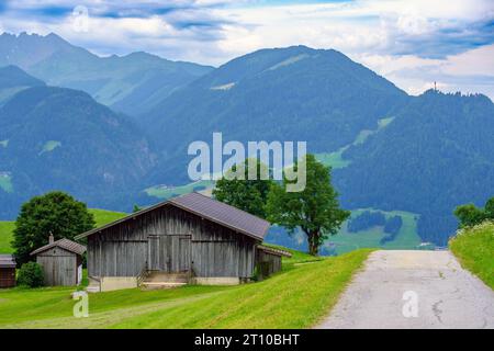 Rifugi di montagna in legno vicino alla strada con campi, alberi e montagne. Reith im Alpbachtal, Val Alpbachtal, Tirolo, Austria. Foto Stock