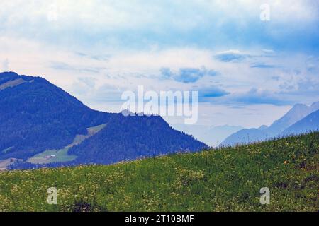 Vista panoramica su montagne, campi e fiori selvatici a Reith im Alpbachtal, Kufstein, Val Alpbachtal, Tirolo, Austria. Foto Stock