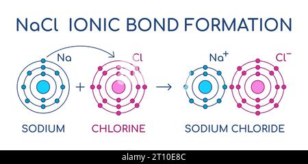 Formazione di legame ionico cloruro di sodio. Struttura NaCl. Reazione chimica dell'atomo di sodio e cloro. Trasferimento di elettroni. Forza di attrazione elettrostatica. Illustrazione Vettoriale