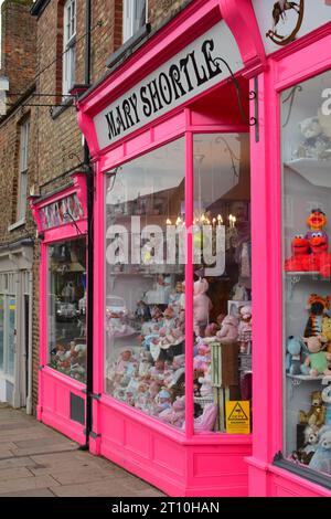 Mary Shortle, York, Regno Unito Foto Stock