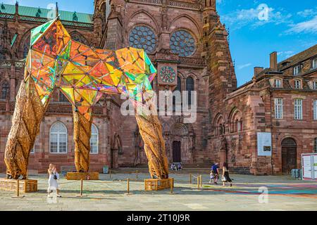 STRASBURGO, GRAND EST, FRANCIA - CIRCA AGOSTO 2023: Cattedrale Notre-Dame de Strasbourg di Strasburgo, città francese. Foto Stock