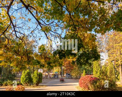 Parco autunnale colorato rosso, giallo, arancione e verde con panchine vuote in legno e parco giochi per bambini circondato da splendidi alberi e cespugli Foto Stock