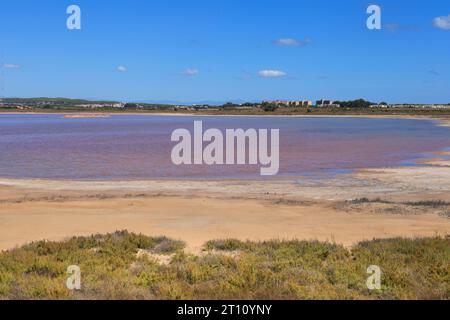 Parco naturale della Laguna Salada de la Mata y Torrevieja. Foto Stock