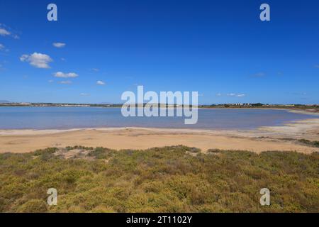 Parco naturale della Laguna Salada de la Mata y Torrevieja. Foto Stock