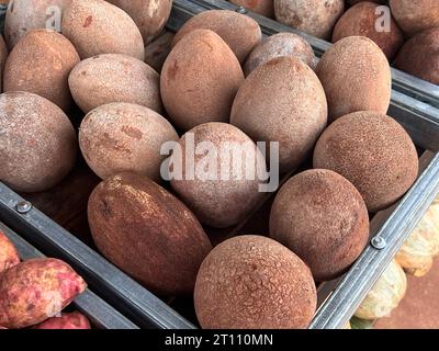 La frutta si trova lungo la strada di cuba Foto Stock