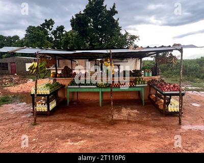 La frutta si trova lungo la strada di cuba Foto Stock