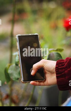 La giovane donna ha in mano uno smartphone che fa foto delle gocce d'acqua sui fiori. Concetto di fotografia mobile. Fotografare con lo smartphone. Smartpho Foto Stock